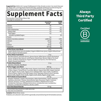 Perfect Food Original Green Formula 10.58oz (300g) Powder