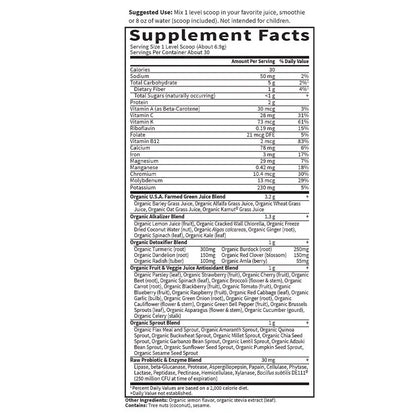 Raw Organic Perfect Food Alkalizer and Detoxifier Lemon-Ginger 9.94oz (282g) Powder
