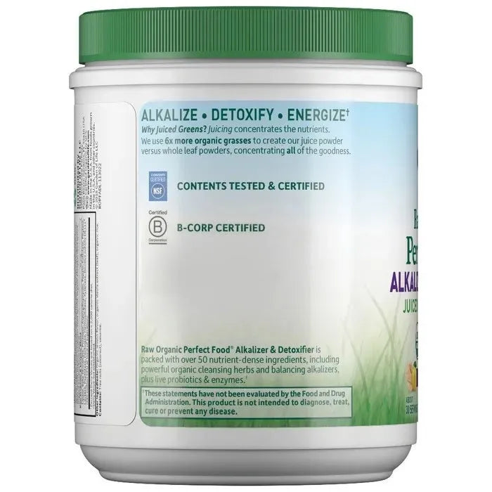 Raw Organic Perfect Food Alkalizer and Detoxifier Lemon-Ginger 9.94oz (282g) Powder