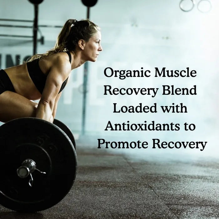 SPORT Organic Plant-Based Protein Chocolate 29.6oz (840g) Powder