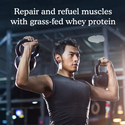 SPORT Certified Grass Fed Whey Powder - Chocolate