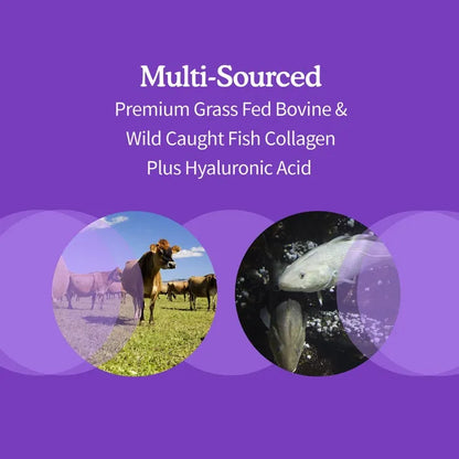 Wild Caught & Grass Fed Collagen Hyaluronic Acid - 9.52 oz Powder