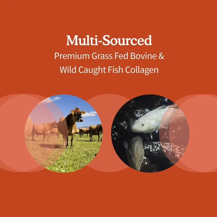 Wild Caught & Grass Fed Collagen Multi-Sourced - 9.52 oz Powder