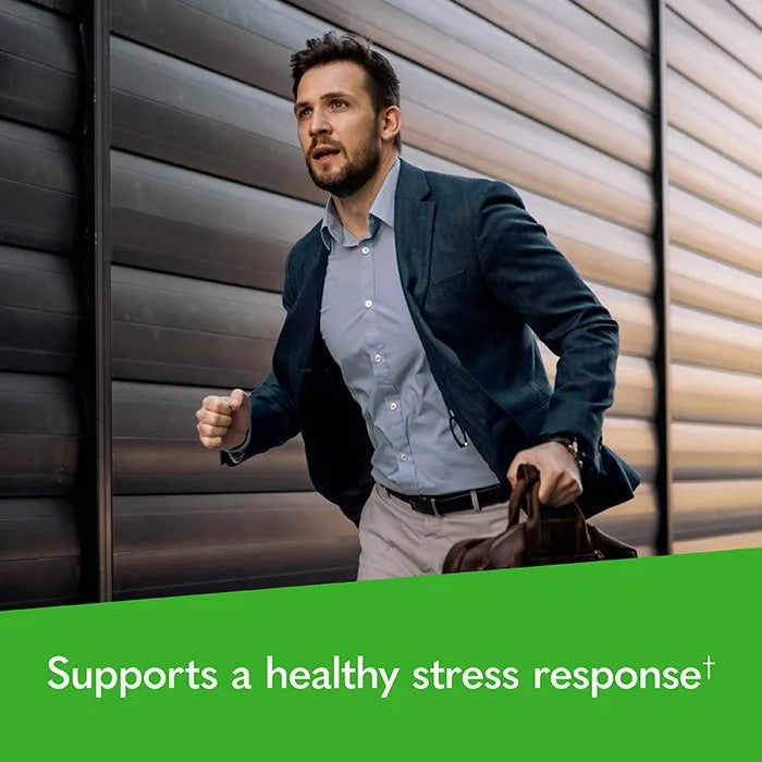 Dr. Formulated Multi Plus Energy Support 30ct CAPSULES