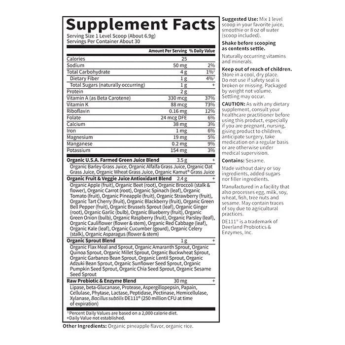 Raw Organic Perfect Food Green Superfood Original Powder